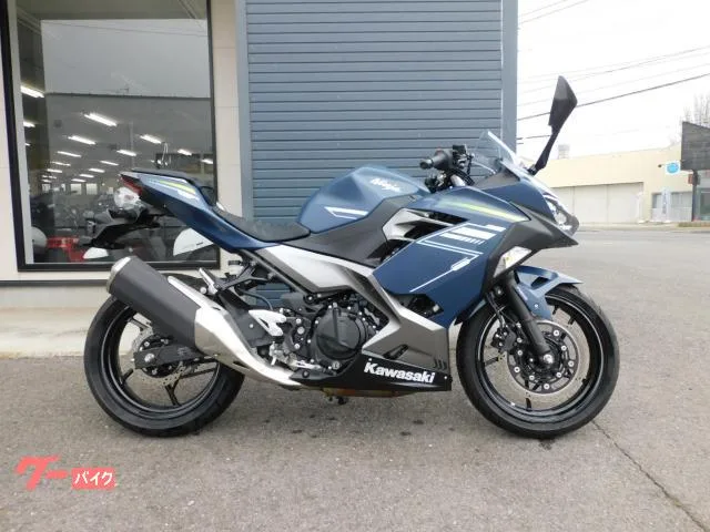 Kawasaki Ninja 400 2022 — фото 1, купить с доставкой в Москву