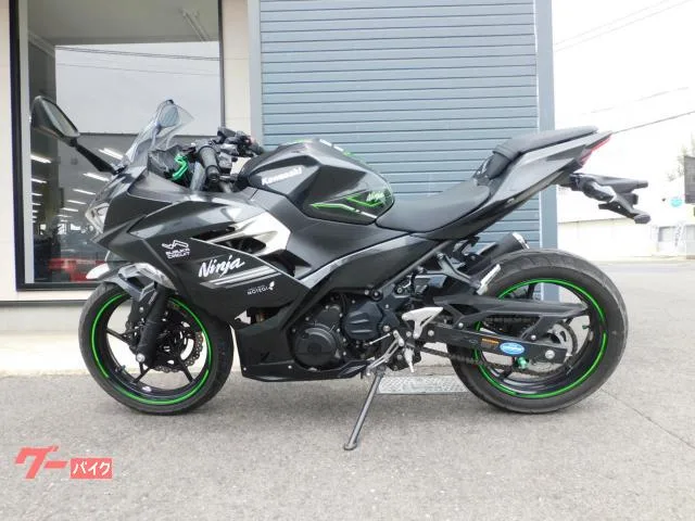 Kawasaki Ninja 250 2022 — миниатюра 2