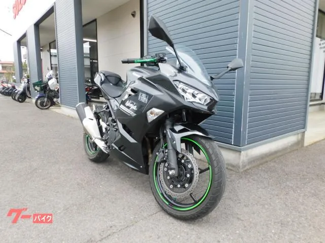 Kawasaki Ninja 250 2022 — миниатюра 3