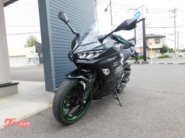 Kawasaki Ninja 250 2022 — миниатюра 4