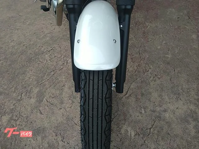 Kawasaki W230 2025 — миниатюра 2