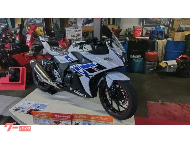 Suzuki GSX250R 2024 LED 2024 — миниатюра 3