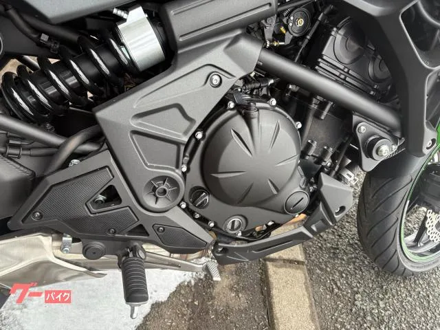 Kawasaki Versys 650 2024 2024 — миниатюра 4
