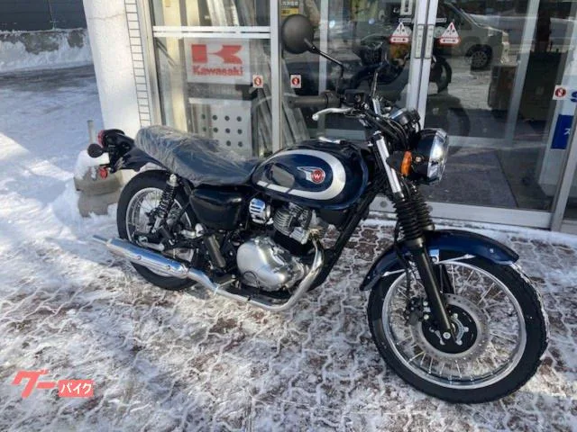 Kawasaki W230 2025 2025 — миниатюра 2