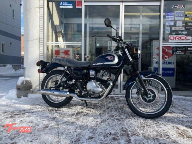 Kawasaki W230 2025 2025 — фото 1, купить с доставкой в Москву