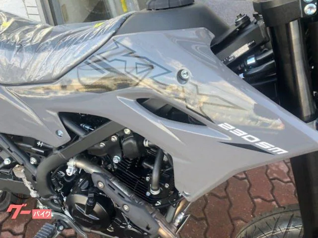 Kawasaki KLX230SM 2025 2025 — миниатюра 5