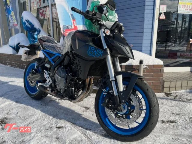 Suzuki GSX-8S 2024 2024 — миниатюра 2