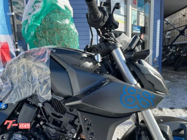 Suzuki GSX-8S 2024 2024 — миниатюра 3