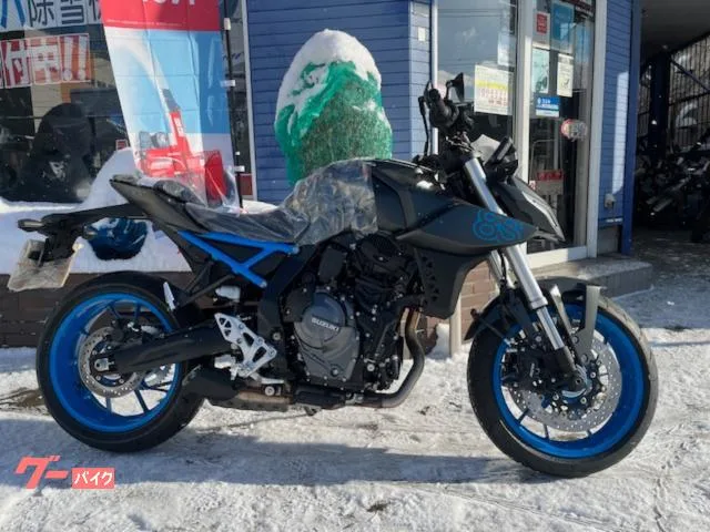 Suzuki GSX-8S 2024 2024 — фото 1, купить с доставкой в Москву
