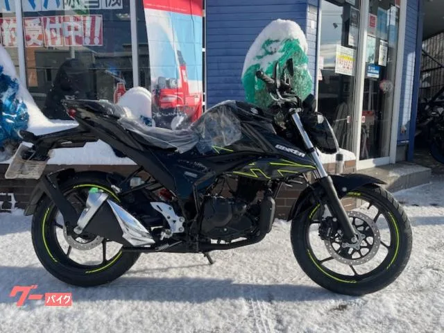 Suzuki GIXXER 150 2023 2023 — фото 1, купить с доставкой в Москву