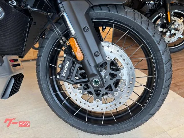 HARLEY-DAVIDSON 1250 2024 — миниатюра 5