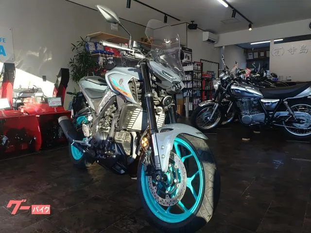 Yamaha MT-25 2022 — миниатюра 2