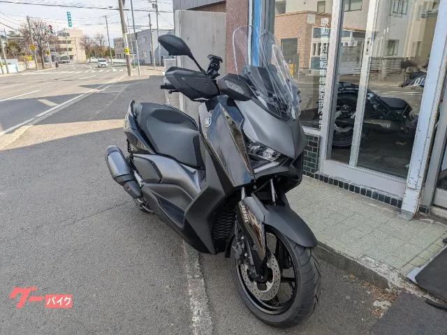 Yamaha X-MAX250 2025 2025 — миниатюра 2