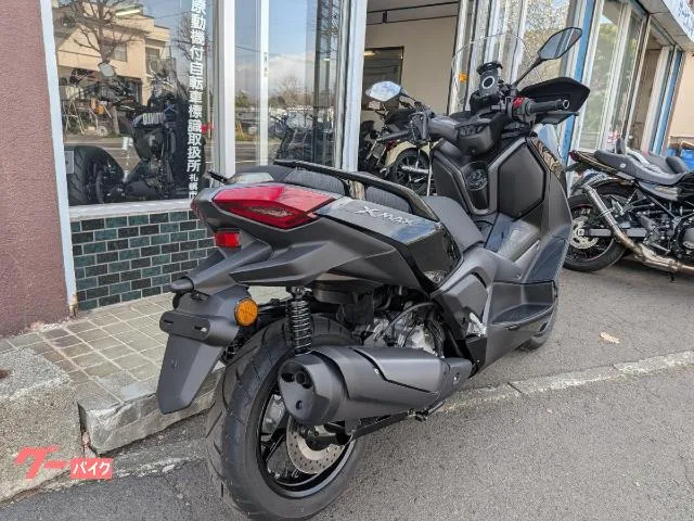 Yamaha X-MAX250 2025 2025 — миниатюра 4