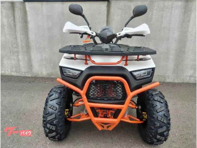 Buggy ATV-MAX ATV831 SL50W-WO 2025 — миниатюра 4
