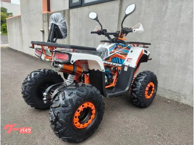 Buggy ATV-MAX ATV831 SL50W-WO 2025 — миниатюра 5