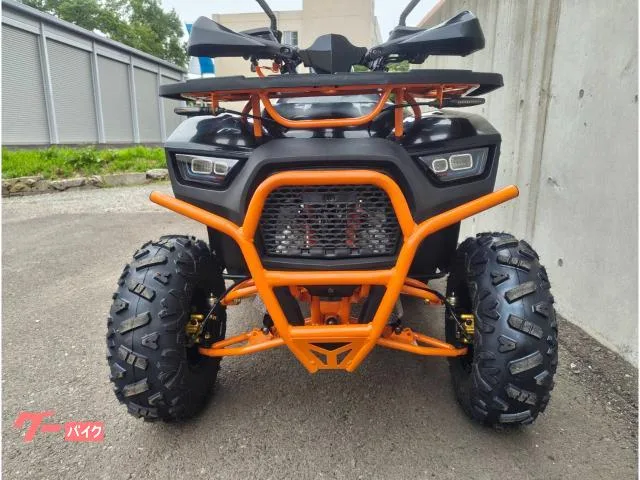 Buggy ATV-MAX 831 SL50W-BO-KIT 2025 — миниатюра 3