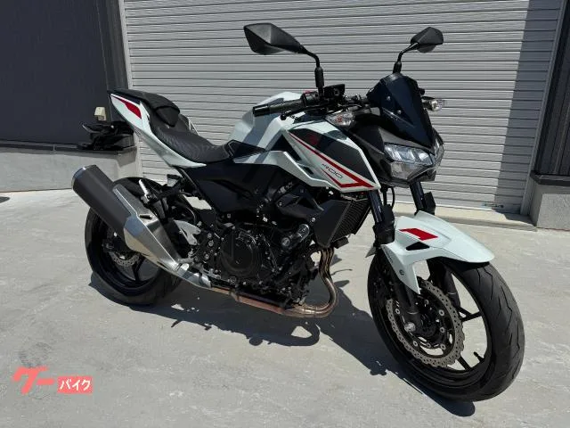 Kawasaki Z400 2022 — фото 1, купить с доставкой в Москву