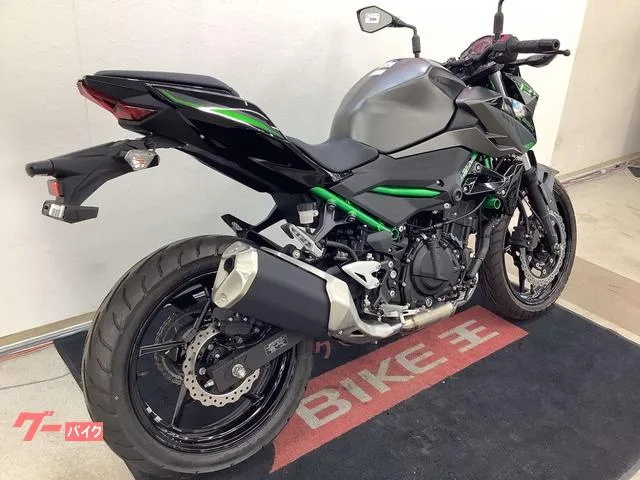 Kawasaki Z250 2024 — миниатюра 5