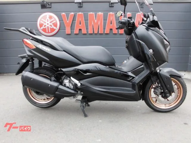 Yamaha X-MAX250 SG70J 2022 2022 — фото 1, купить с доставкой в Москву