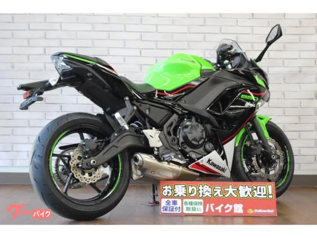 Kawasaki Ninja 650 ETC 2022 — миниатюра 4