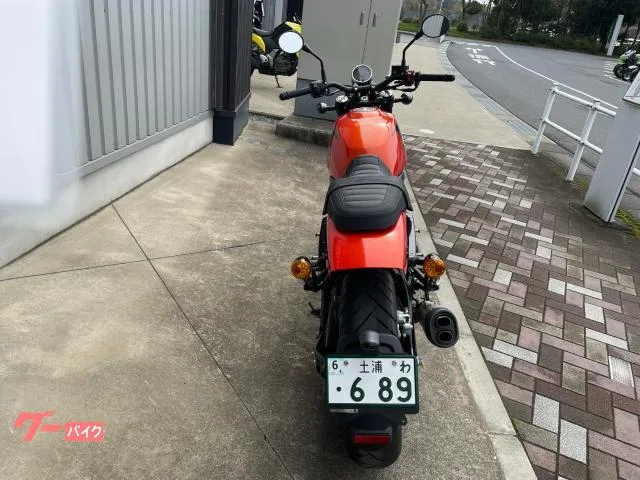 HARLEY-DAVIDSON X500 2024 — миниатюра 3