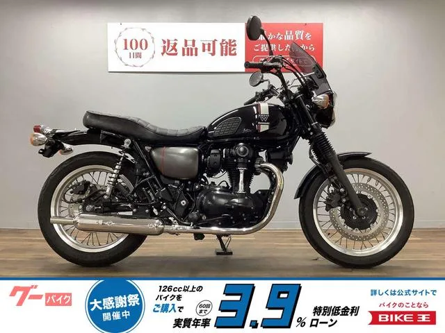Kawasaki W800 2022 — фото 1, купить с доставкой в Москву