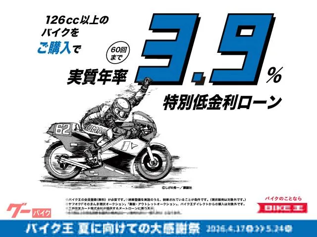 Suzuki V- 250SX 2023 — миниатюра 2
