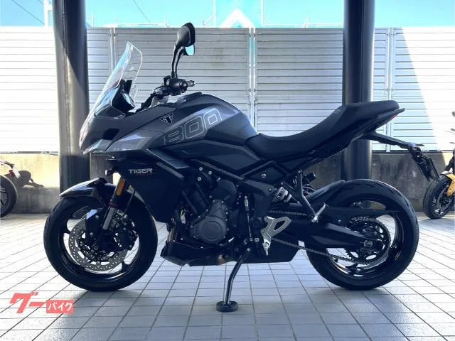 TRIUMPH 800 / 2025 — миниатюра 2