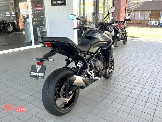 TRIUMPH 800 / 2025 — миниатюра 3