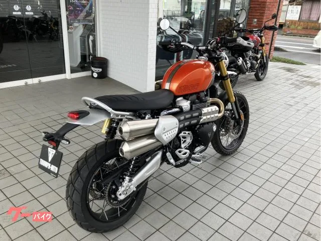 TRIUMPH 1200XE / 2025 — миниатюра 3
