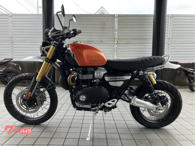 TRIUMPH 1200XE / 2025 — миниатюра 4