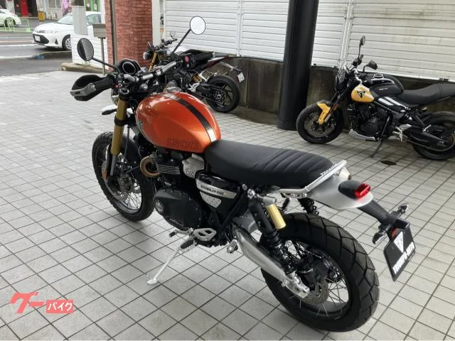TRIUMPH 1200XE / 2025 — миниатюра 5