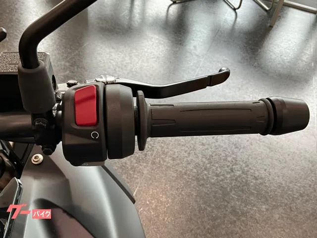 BMW G310GS ETC LED 2025 — миниатюра 5