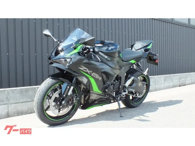 Kawasaki Ninja ZX-6R 2025 2025 — миниатюра 5