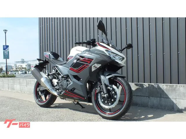 Kawasaki Ninja 400 2024 2024 — миниатюра 2