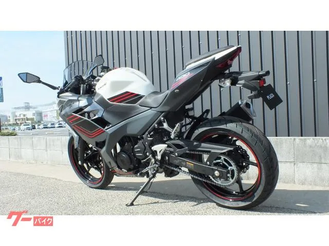 Kawasaki Ninja 400 2024 2024 — миниатюра 3