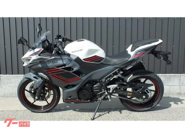 Kawasaki Ninja 400 2024 2024 — миниатюра 4