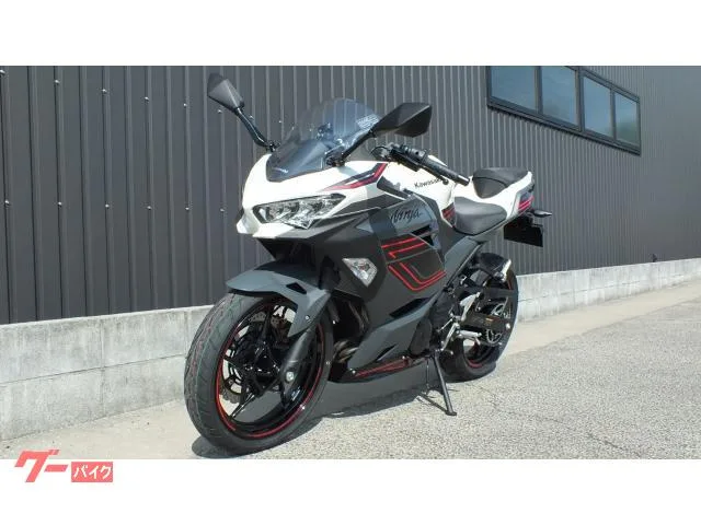 Kawasaki Ninja 400 2024 2024 — миниатюра 5