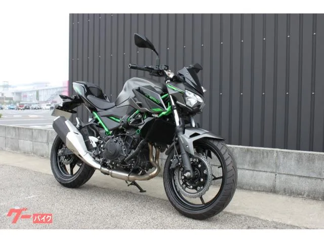 Kawasaki Z250 2024 2024 — миниатюра 2