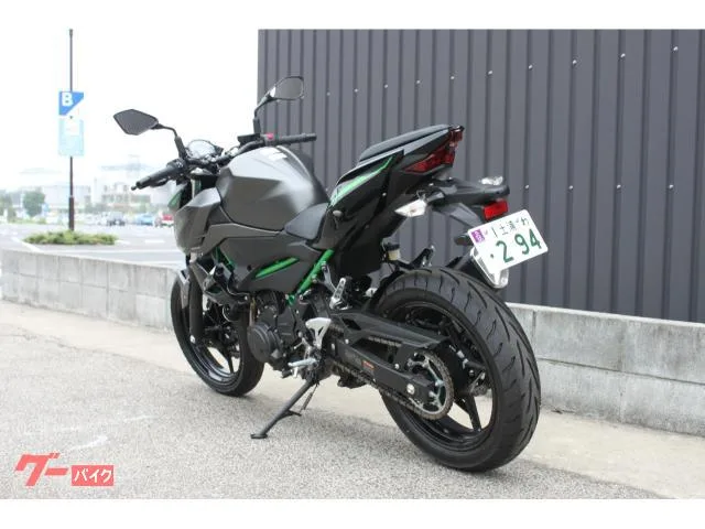 Kawasaki Z250 2024 2024 — миниатюра 3