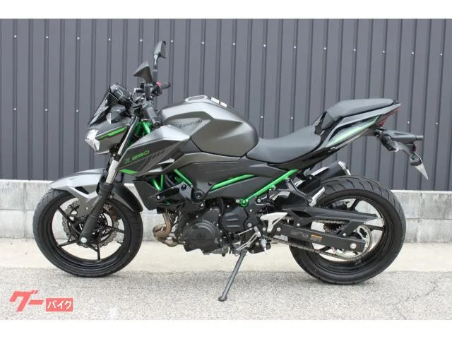 Kawasaki Z250 2024 2024 — миниатюра 4
