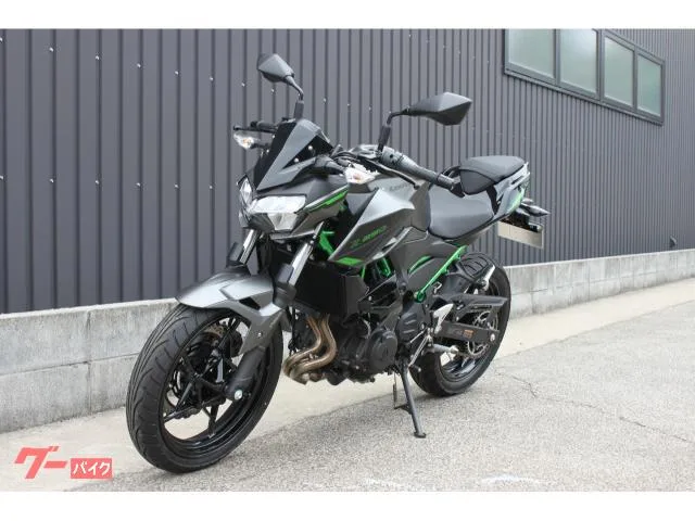 Kawasaki Z250 2024 2024 — миниатюра 5