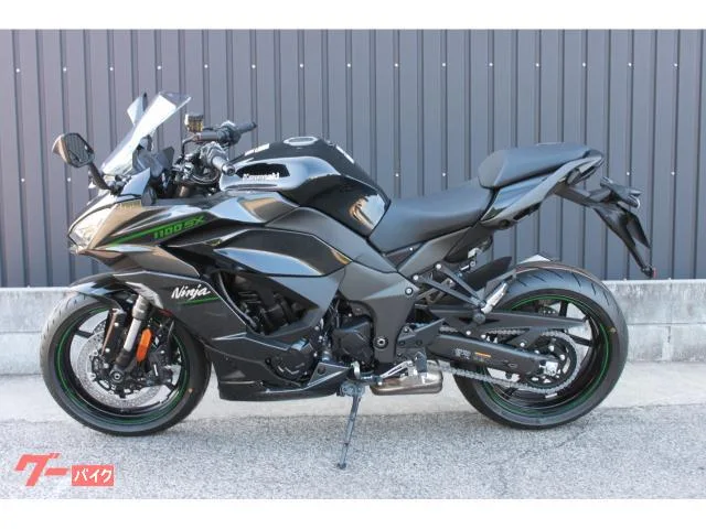 Kawasaki Ninja 1100 SX 2025 2025 — миниатюра 4