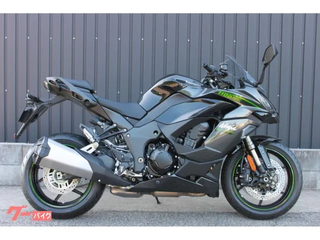 Kawasaki Ninja 1100 SX 2025 2025 — фото 1, купить с доставкой в Москву