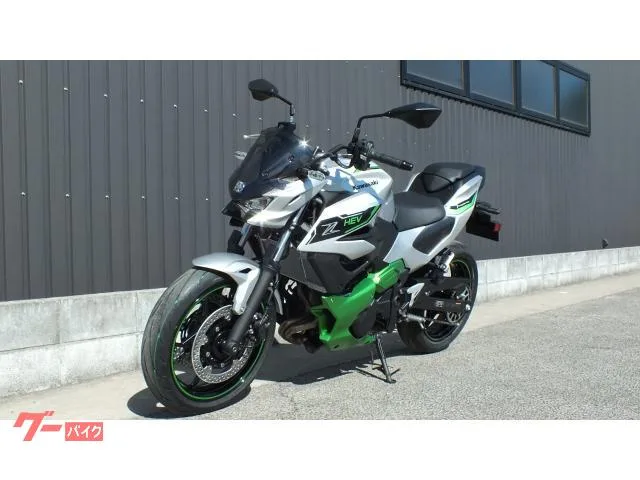 Kawasaki Z7 Hybrid 2025 2024 — миниатюра 5