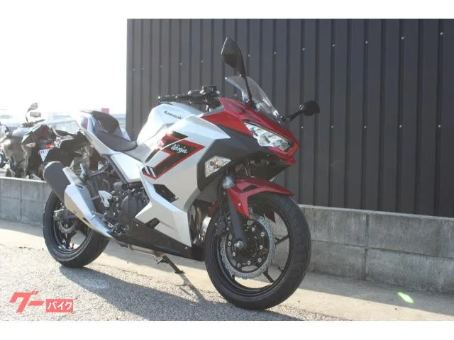 Kawasaki Ninja 250 2026 2026 — миниатюра 2