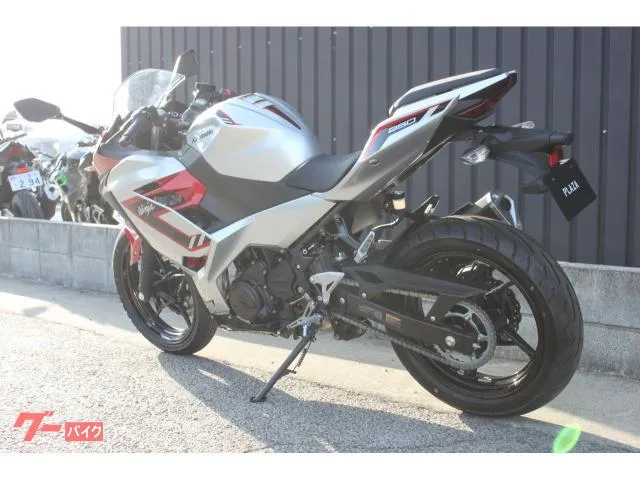 Kawasaki Ninja 250 2026 2026 — миниатюра 3