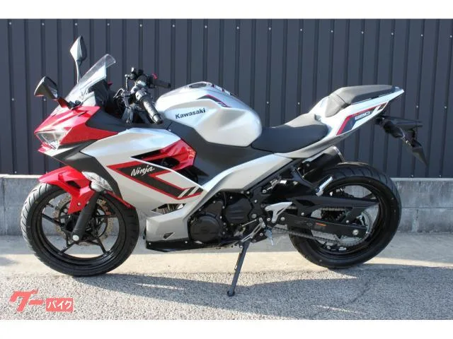 Kawasaki Ninja 250 2026 2026 — миниатюра 4