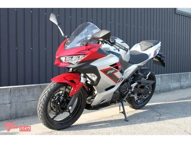 Kawasaki Ninja 250 2026 2026 — миниатюра 5